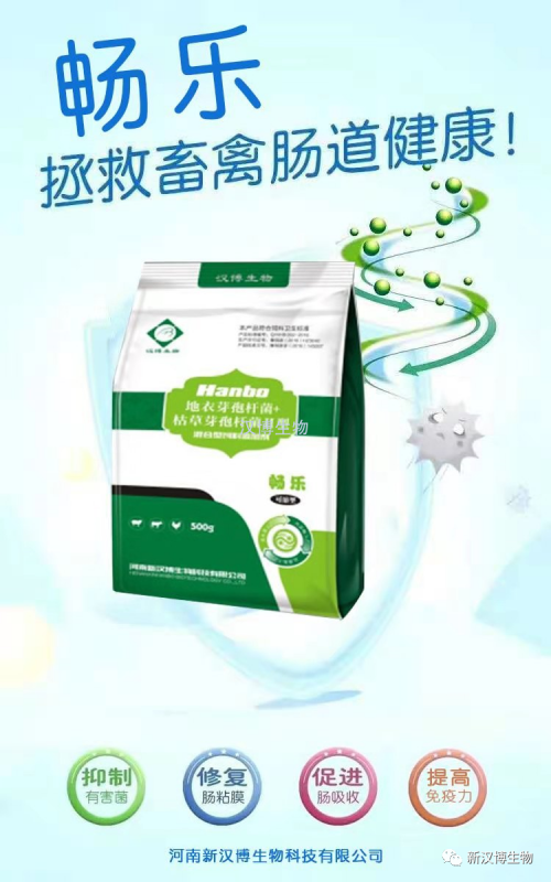 飼料禁抗后，斷奶仔豬腹瀉問題將更為嚴重，養豬人如何應對